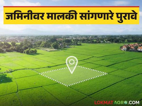 Latest News Land Documents these 7 proofs that prove ownership of land Read in detail   | Land Documents : जमिनीवर स्वत:चा मालकी हक्क सिद्ध करणारे 7 पुरावे कोणते? वाचा सविस्तर  