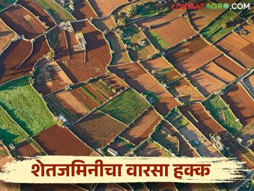 Satbara; How the land rights are passed on to the heirs of the person in whose name agricultural land is on death | Satbara शेतजमीन ज्याच्या नावावर आहे त्या व्यक्तीचा मृत्यू झाल्यास त्याच्या वारसांना जमिनीचे हक्क कसे दिले जातात