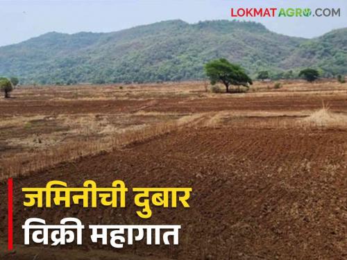 Latest news Supreme Court action against those who sell the same land to many people | Agriculture News : एकाच जमिनीची अनेकांना विक्री, सुप्रीम कोर्टाचा दणका, काय आहे प्रकरण?