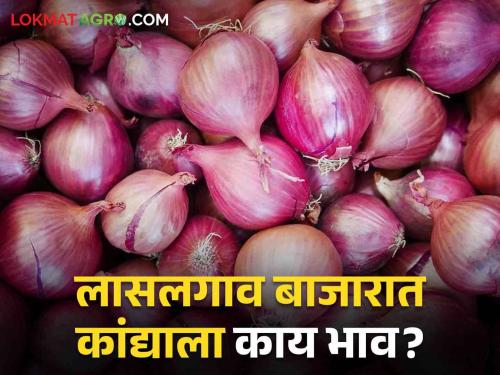 Latest News Fall in summer onion prices in Lasalgaon market, read today's market prices | Kanda Bajarbhav : लासलगाव बाजारात उन्हाळा कांदा दरात घसरण, वाचा आजचे बाजारभाव