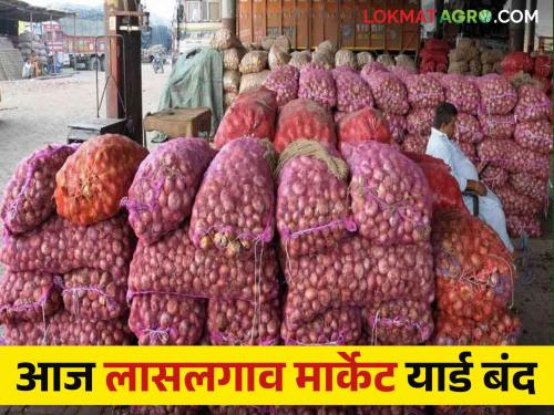 Latest news Agriculture News Lasalgaon onion market will be closed today, read in detail  | Lasalgaon Onion Market : आज लासलगाव कांदा मार्केट बंद राहणार, वाचा सविस्तर 