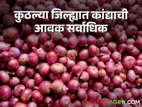 Latest News Todays Kanda Bajarbhav In nashik district Market Yard check onion prices | Onion Market : नाशिकच्या तीन बाजार समित्यांत कांद्याला सारखाच भाव? वाचा आजचे बाजारभाव