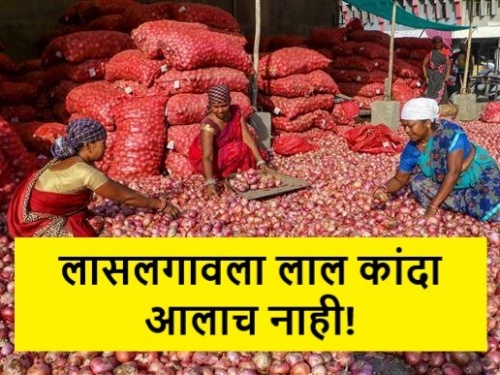 Latest News 27 march todays onion market price in nashik and maharashtra | Onion Market : लाल कांद्याची आवक घटली, उन्हाळ कांद्याला क्विंटलमागे मिळाला इतका दर   