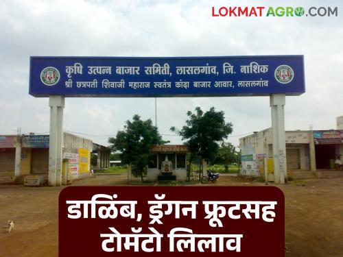 Latest News Lasalgaon Market auctioned tomatoes along with pomegranates, dragon fruit see details | लासलगाव मार्केटला डाळिंब, ड्रॅगन फ्रूटसह टोमॅटो लिलाव, काय दर मिळाले? 