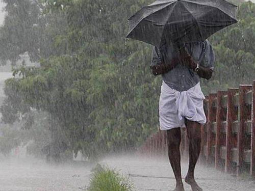 Heavy rains in five mandals of Latur district, open water in Hingoli; Loss in Dharashiva | लातूर जिल्ह्यातील पाच मंडळांत अतिवृष्टी, हिंगोलीत उघडीप; धाराशिवमध्ये नुकसान