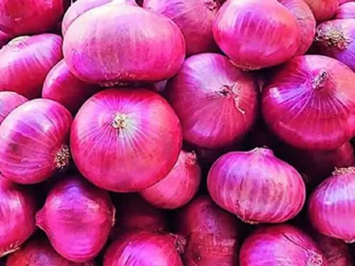 Onion shortage will be held in Diwali | दिवाळीत होणार कांद्याचा वांधा