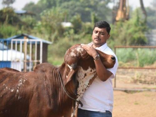 Nashik's cowherd Rahul Khairnar won the 'National Gopal Ratna' award | नाशिकचे गोपालक राहूल खैरनार ठरले 'राष्ट्रीय गोपालरत्न' पुरस्काराचे मानकरी