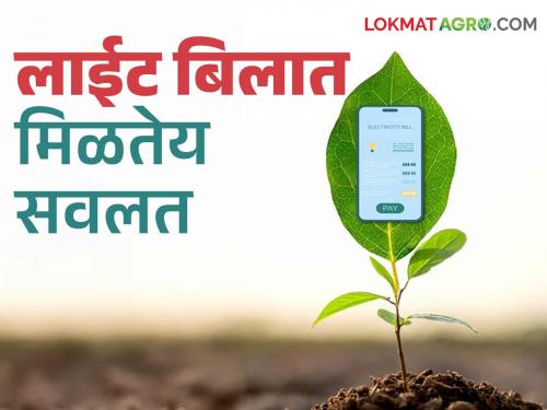 5 lakh electricity bills in the state have become paperless, getting a discount of Rs 120 per year; How to take advantage? | राज्यात ५ लाख लाईट बिले झाली पेपरलेस, वर्षाला मिळतेय १२० रुपयांची सवलत; कसा घ्याल फायदा?