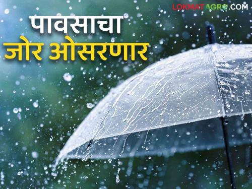 Latest News Maharashtra Rain Update Rain forecast for next four days in maharashtra See details | Maharashtra Rain Update : कुठे ओसरणार तर कुठे बरसणार? राज्यातील पुढील चार दिवसाच्या पावसाचा अंदाज