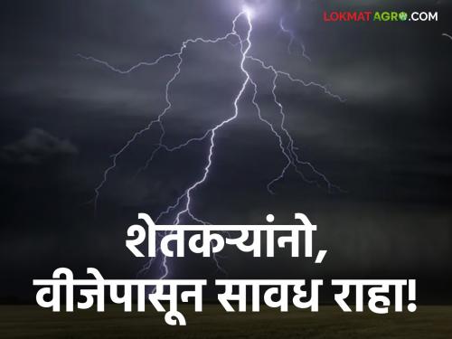 Latest News Farmers how to protect yourself from Lightning Strike in rainy season | Lightning Strike : शेतकऱ्यांनो! वीज अंगावर पडू नये, म्हणून 'या' गोष्टींना स्वतःपासून दूरच ठेवा!