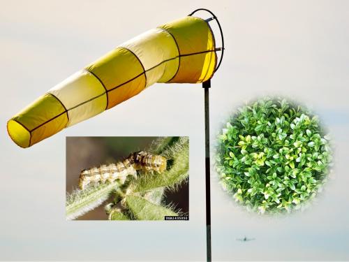 Importance of light trap technology for pest control in crop | तुमचा विश्वास बसणार नाही इतक्या कमी खर्चात होईल कीड नियंत्रण; हा उपाय करा