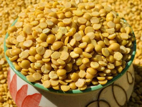 Turi prices, new dal will come in January, what are the rates? | तुरीला आला भाव, नवीन डाळ येणार जानेवारीत, काय आहेत दर?