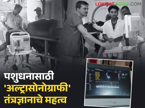 This machine used for livestock different tests will revolutionize the veterinary field if it is allowed to be taken to the field | पशुधन तपासणीसाठी वापरले जाणारे 'हे' मशीन प्रक्षेत्रावर नेण्यास परवानगी दिल्यास पशुवैद्यकीय क्षेत्रात होईल क्रांती