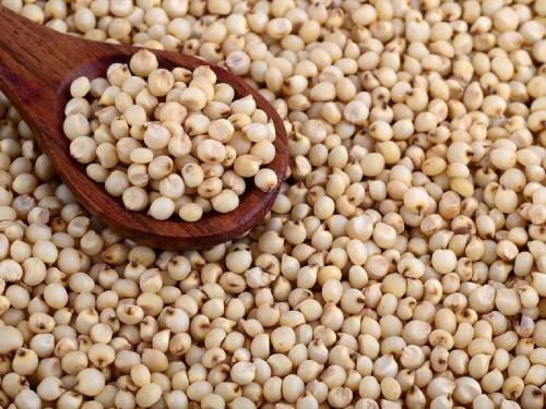 Sorghum eating price in Mondhya; The increase in the price of wheat also happened due to the slowdown in the inflow | मोंढ्यात ज्वारी खातेय भाव; गहूही वधारला, आवक मंदावल्याने झाली दरवाढ