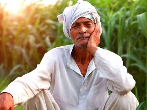 Crop insurance for one rupee but thousands of farmers deprived.. What is the reason? | एक रुपयात पीकविमा पण हजारो शेतकरी वंचित.. कारण काय?