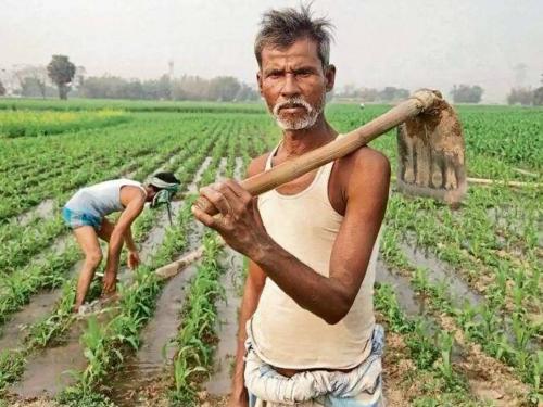 In case of crop damage, report within 72 hours, where to report? | पिकांचे नुकसान झाल्यास ७२ तासांच्या आत करा तक्रार, कुठे कराल तक्रार?