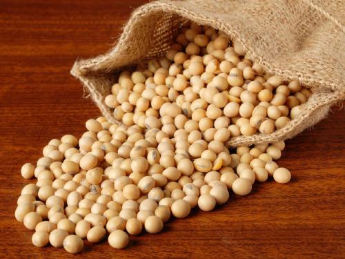 What is the status of soybeans in remaining districts including Hingoli, Latur? Getting such a price per quintal.. | हिंगोली, लातूरसह उर्वरित जिल्हयांत सोयाबीनची काय स्थिती? मिळतोय क्विंटलमागे एवढा भाव..