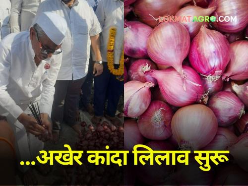 onion auction in Nashik district starts Initiative of farmers association | ...अखेर नाशकातील कांदा लिलाव सुरू! शेतकरी संघटनेचा पुढाकार