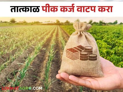 Crop Loan Disbursement: Kharif season meeting! Divisional Commissioner orders to complete crop loan distribution in next two months | Crop Loan Disbursement: खरीप हंगाम बैठक! पीक कर्ज वाटप येत्या दोन महिन्यात पूर्ण करण्यासाठी विभागीय आयुक्तांचे आदेश