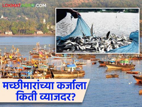 Agricultural status for fishing; Are fishermen getting loans at 4 percent interest like farmers? | मत्स्य व्यवसायाला कृषीचा दर्जा; मच्छीमारांनाही शेतकऱ्यांप्रमाणे ४ टक्के व्याजाने कर्ज मिळतंय का?