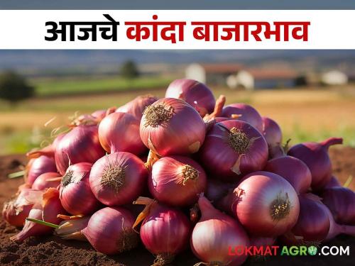 Latest News 10 june Todays Onion bajarbhav In market yards check here onion market price june | Onion Bajarbhav : आज राज्यात कांद्याला कुठे- काय भाव मिळाला? जाणून घ्या सविस्तर बाजारभाव 