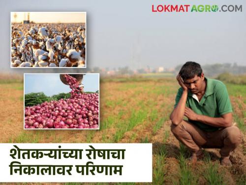 Latest News Impact of farmers' anger on Lok Sabha election results 2024 in maharashtra | Maharashtra Farmer : कापूस, साेयाबीन व संत्र्याचे काेसळलेले दर, अन्... अखेर शेतकऱ्यांनी उतरविला सत्ताधाऱ्यांचा रंग