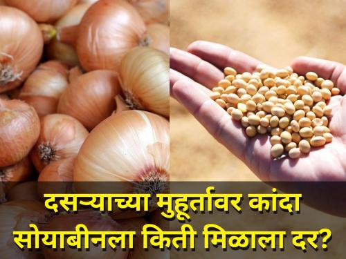 How much was price of onions and soybeans at the time of dasara festval | दसऱ्याच्या मुहूर्तावर कांदा सोयाबीनला किती मिळाला दर?