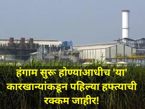 amount of first installment has been announced by sugar factories before start crushing season | गाळप सुरू होण्याआधीच 'या' कारखान्यांकडून पहिल्या हफ्त्याची रक्कम जाहीर!