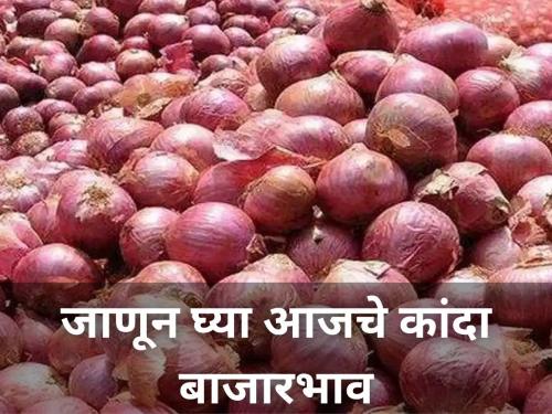 today market yard onion price rate hike farmer agriculture | आज किती मिळाला कांद्याला दर? सविस्तर जाणून घ्या