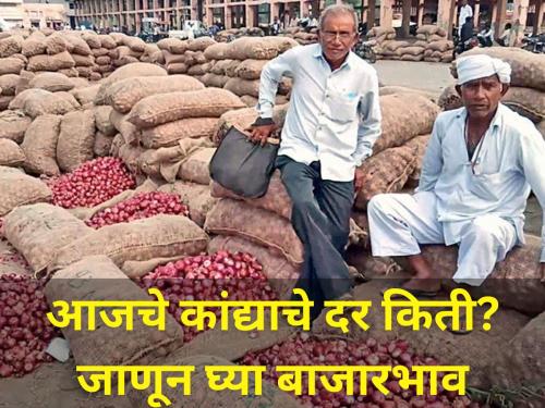 Onion prices came down today market yard price onion producer farmer agriculture | आजचे कांद्याचे दर किती? जाणून घ्या बाजारभाव