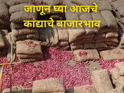 maharashtra market yard price rates of onion farmer agriculture | जाणून घ्या आजचे कांद्याचे बाजारभाव