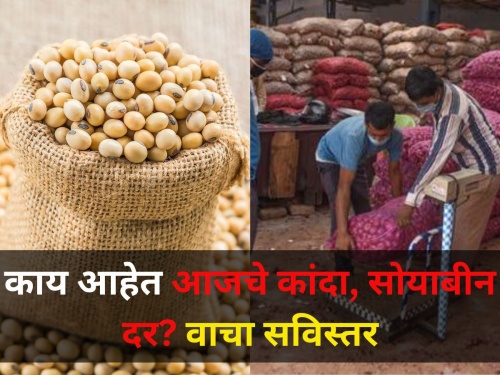 maharashtra today prices of soybeans and onions in market yard | राज्यात सोयाबीन, कांद्याचे दर किती? जाणून घ्या सविस्तर
