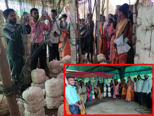 nashik ycmou university krushi vigyan kendra mushroom production Training of tribal farmers | आळंबी उत्पादनातून पर्यायी उत्पन्नाचा स्रोत; विद्यापीठात पार पडले आदिवासी शेतकऱ्यांचे प्रशिक्षण