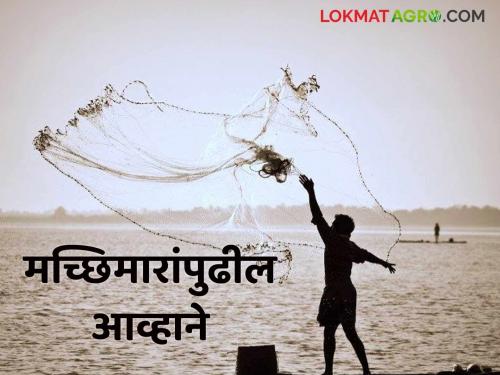 Latest News From plastic pollution to water quality challenges facing fishermen, read in detail  | Challenges facing Fishermen : प्लास्टिक प्रदूषणापासून ते पाण्याच्या गुणवत्तेपर्यंत मच्छिमारांपुढील आव्हाने, वाचा सविस्तर 