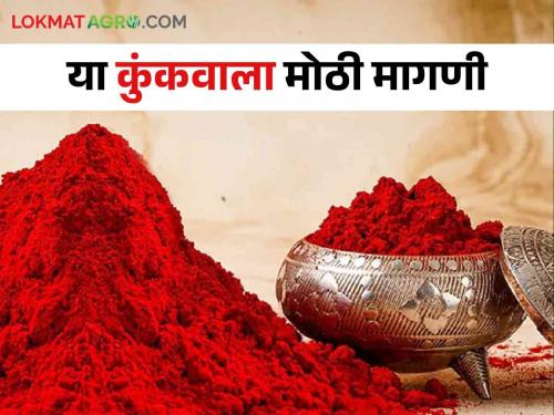 Ashadi Yatra 2024: There is a huge demand for kunku which made from turmeric, with a turnover of 15 to 20 crores | Ashadi Yatra 2024: हळदीपासून बनविलेल्या या कुंकाला मोठी मागणी, होतेय १५ ते २० कोटींची उलाढाल