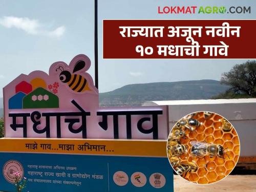 Approval to implement 'Madhache Gav' scheme in these 10 more villages in the state; Government decision taken | राज्यात अजून या १० गावांत 'मधाचे गाव' ही योजना राबविण्यासाठी मान्यता; शासन निर्णय आला
