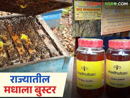 The Honey Village initiative is becoming a success; these 10 more villages in the state will receive a fund of Rs 5 crores | मधाचे गाव हा उपक्रम होतोय यशस्वी; राज्यात अजून या १० गावांना मिळणार ५ कोटींचा निधी