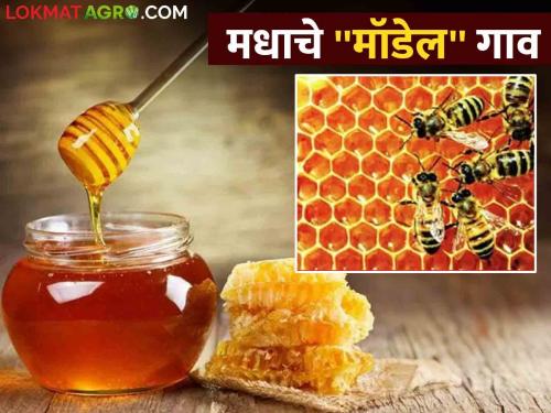 Beekeeping : To promote honey beekeeping, 'Madhumitra Award' will be given  | Beekeeping : मधुमक्षिका पालनास प्रोत्साहन देण्यासाठी 'मधुमित्र पुरस्कार' देणार 