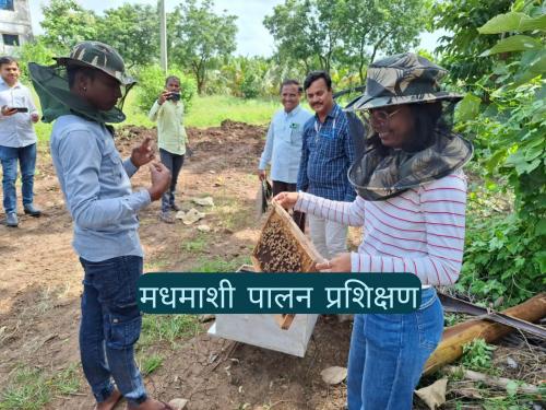 Latest news Seven-day beekeeping training completed at Krishi Vigyan Kendra, Tondapur | शुद्ध मधाची काढणीपासून ते पॅकेजिंग लेबलिंगपर्यंत, मधमाशी पालन प्रशिक्षण संपन्न