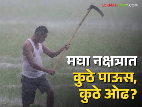 Latest News Nashik Rain Update Rain forecast in Magha Nakshatra for nashik district Know in detail | Magha Nakshatra : मघा नक्षत्राला प्रारंभ, 'या' नक्षत्रात पाऊस कसा असेल? जाणून घ्या सविस्तर 