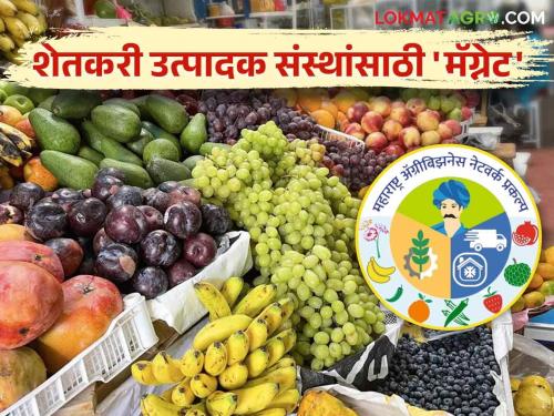 Maharashtra Agribusiness Network (Magnet) project to enhance participation of farmer producer organizations in the value chain | शेतकरी उत्पादक संस्थांचा मुल्यसाखळीतील सहभाग वाढविण्यासाठी महाराष्ट्र ॲग्रीबिझनेस नेटवर्क (मॅग्नेट) प्रकल्प