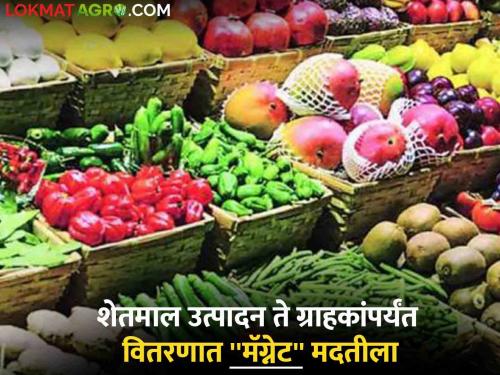 Farmers will become rich through Magnets | Magnets : "मॅग्नेट"च्या माध्यमातून शेतकरी होणार समृद्ध