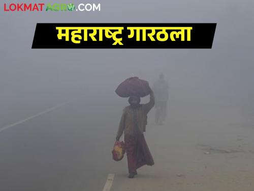 North winds hit the state; How will it be cold? | उत्तरेचे वारे राज्यात धडकले; कशी राहणार थंडी