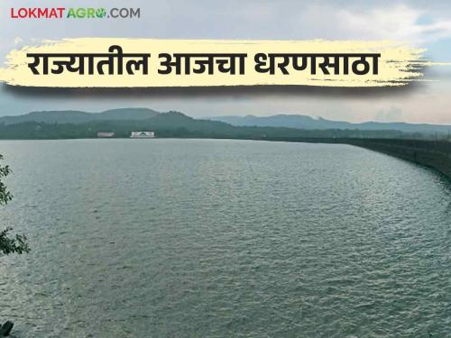 Latest News Maharashtra Dam Storage these dam is 100 percent full, how much water storage in maharashtra dams | Maharashtra Dam Storage : राज्यातील 'ही' धरणे 100 टक्के भरली, आजचा पाणीसाठा किती? वाचा सविस्तर 