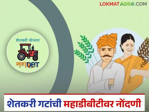 How to register farmer groups on MahaDBT portal? Know in detail | महाडीबीटी पोर्टलवर शेतकरी गटांची नोंदणी कशी करायची? जाणून घ्या सविस्तर