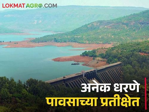 Dam Water The water storage of many dams in western Maharashtra has decreased | Dam Water Storage पश्चिम महाराष्ट्रातील अनेक धरणांचा पाणीसाठा खालावला