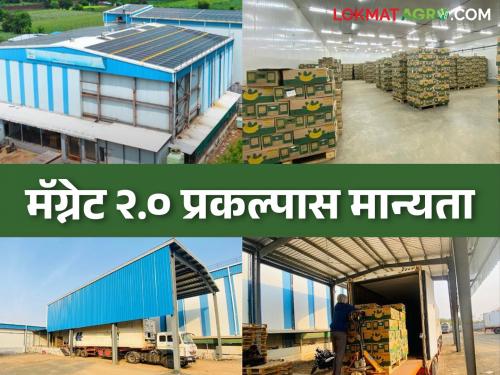 Magnet project now till 2031, government decision of Rs 2100 crore fund; How will it benefit? | मॅग्नेट प्रकल्प आता २०३१ पर्यंत, २१०० कोटी निधीचा शासन निर्णय आला; कसा होणार फायदा?