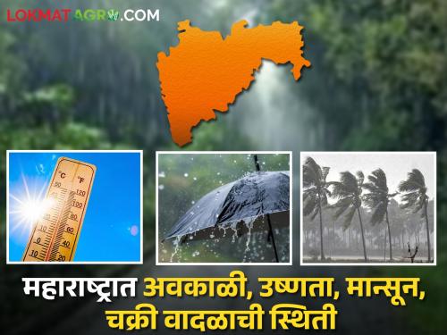 Latest news Unseasonal weather, heat, monsoon, cyclonic storm status in Maharashtra, read in one click   | Maharashtra Weather Forecast : महाराष्ट्रात अवकाळी, उष्णता, मान्सून, चक्री वादळाची स्थिती, वाचा एका क्लिकवर  