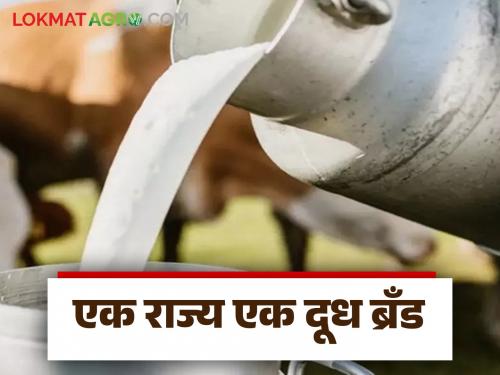 Dudh Dar : Positive decision soon to provide equal price for milk in the state | Dudh Dar : राज्यात दुधाला समान दर देण्यासाठी लवकरच सकारात्मक निर्णय