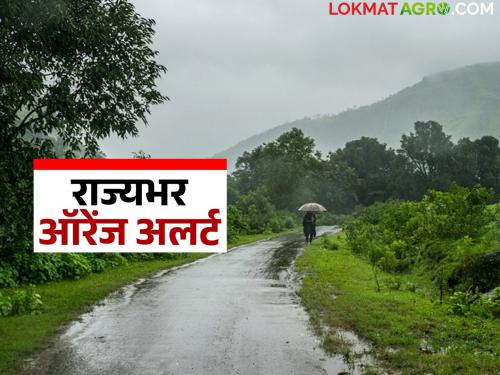 Monsoon Update : Big change in the state's weather; Heavy rain in the state in the next 4 days | Monsoon Update : राज्याच्या हवामानात मोठे बदल; पुढील ४ दिवसात राज्यात मुसळधार पाऊस